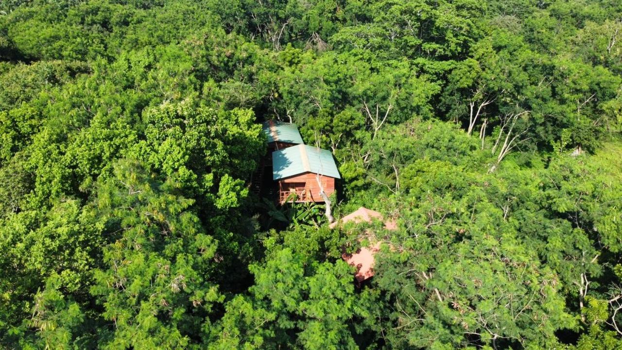 Tree House Hostel シギリヤ エクステリア 写真