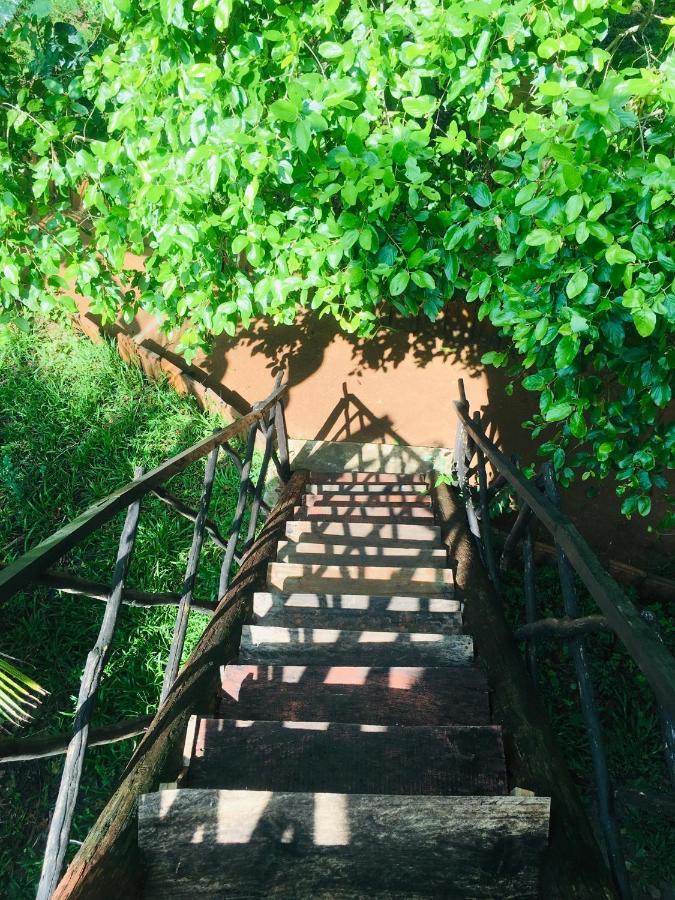 Tree House Hostel シギリヤ エクステリア 写真