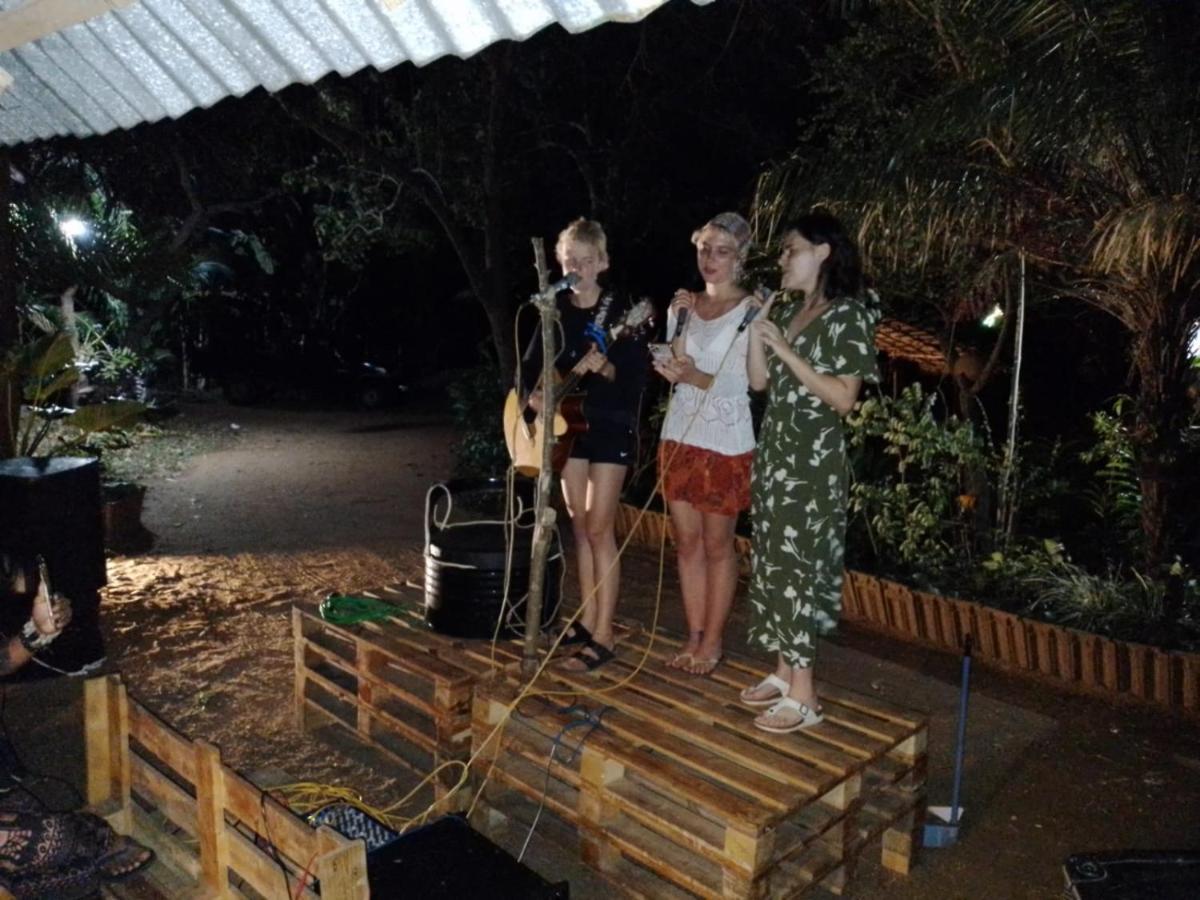 Tree House Hostel シギリヤ エクステリア 写真