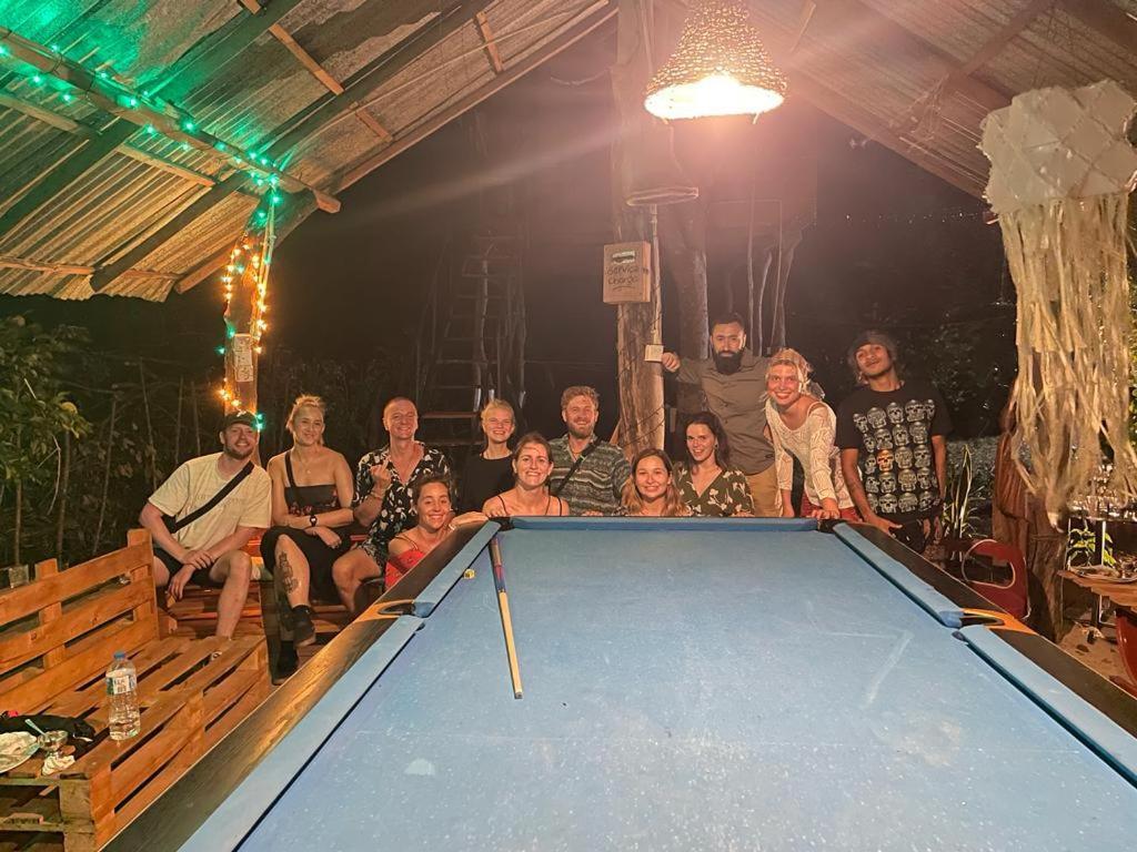 Tree House Hostel シギリヤ エクステリア 写真