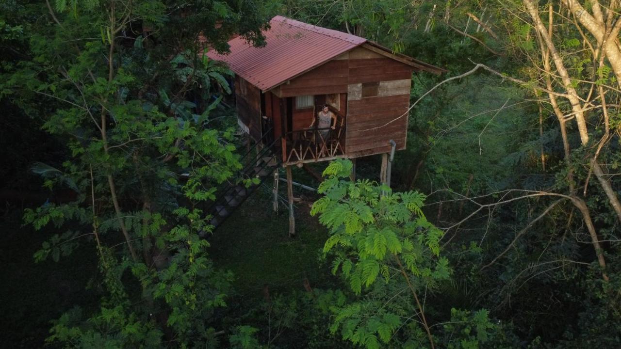 Tree House Hostel シギリヤ エクステリア 写真