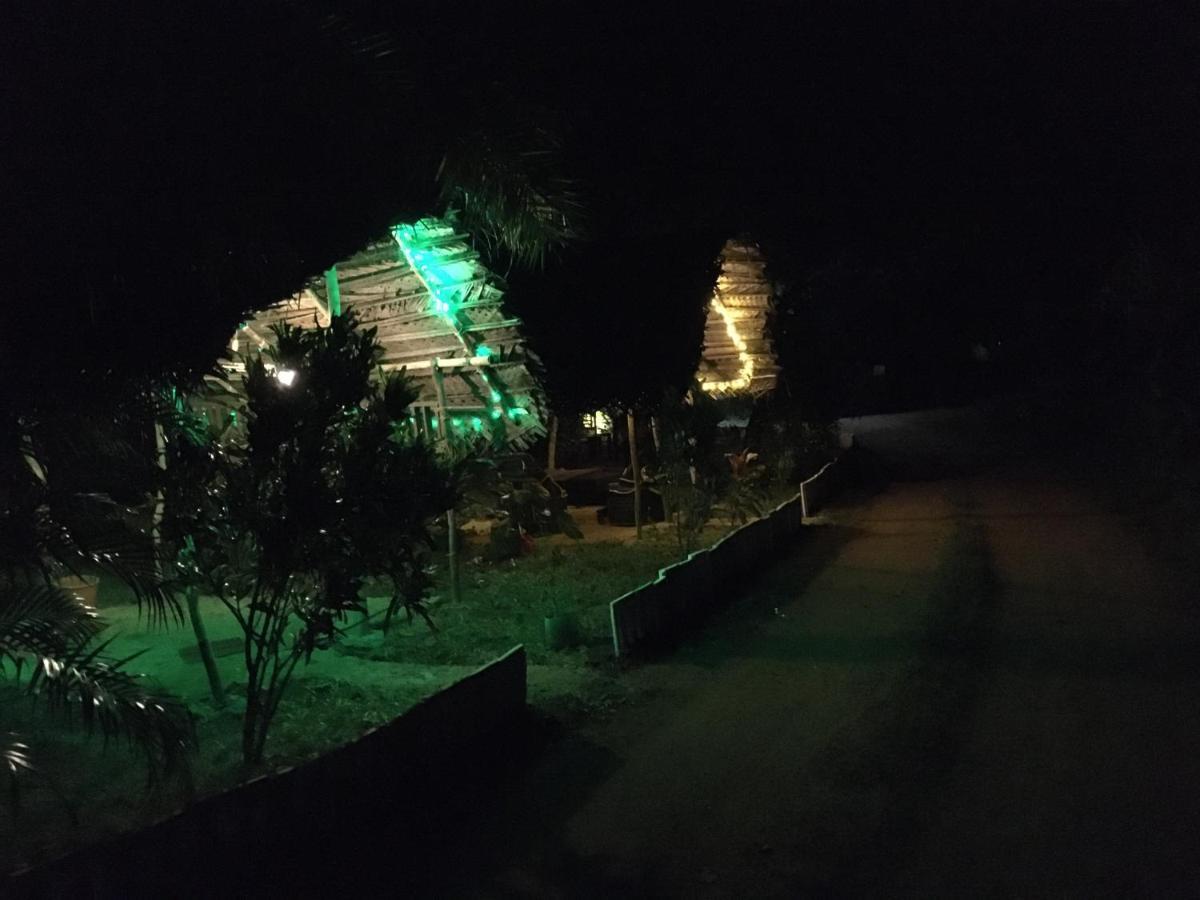 Tree House Hostel シギリヤ エクステリア 写真