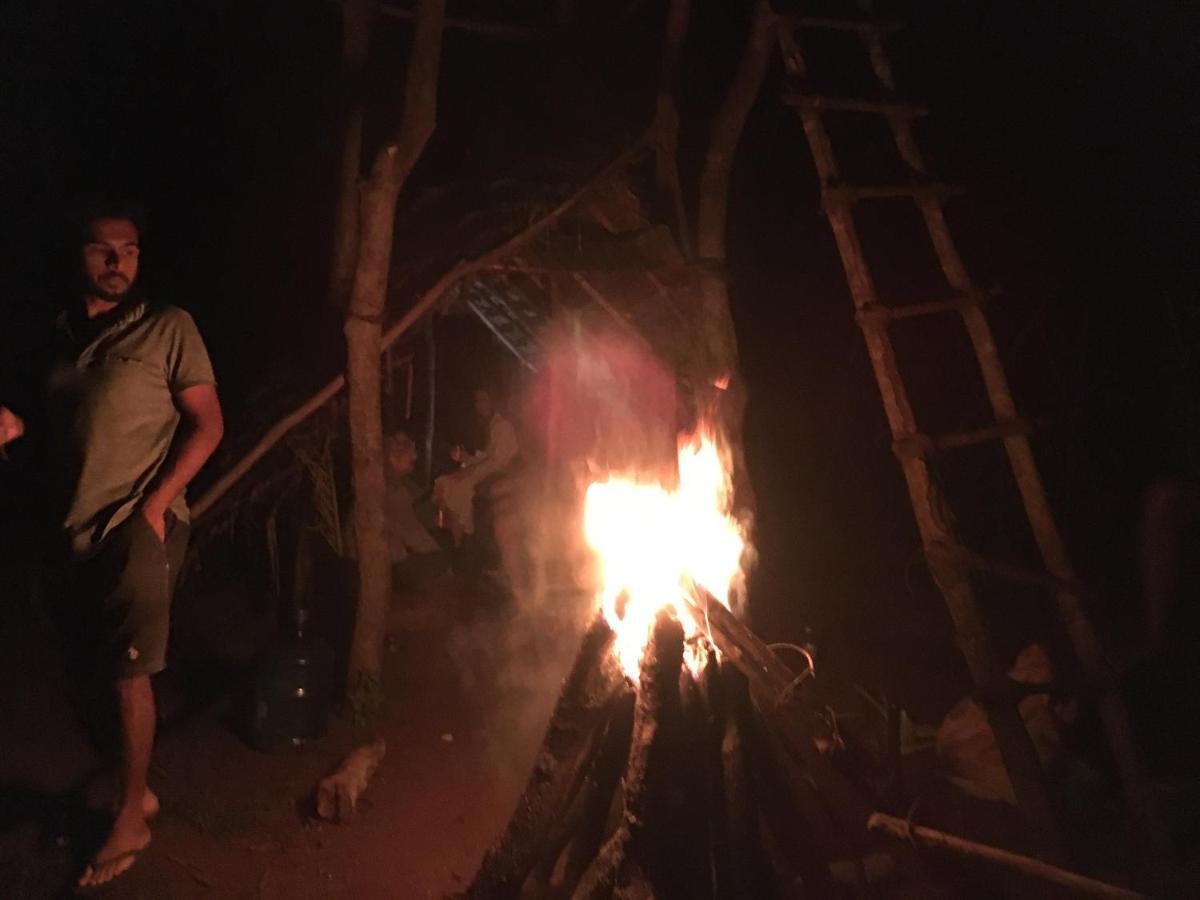 Tree House Hostel シギリヤ エクステリア 写真