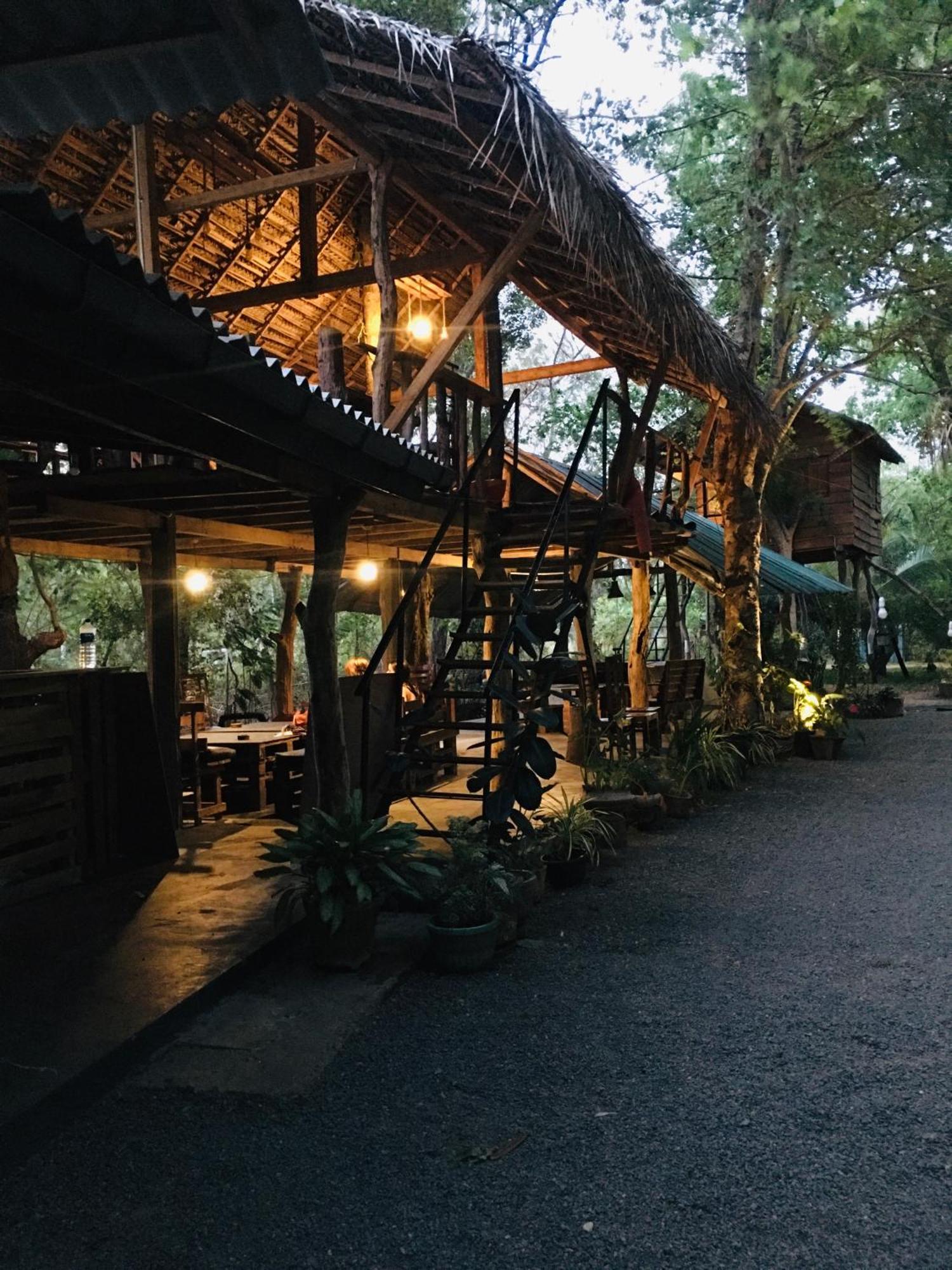 Tree House Hostel シギリヤ エクステリア 写真