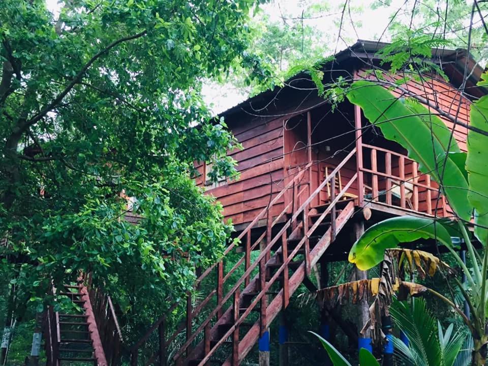 Tree House Hostel シギリヤ エクステリア 写真