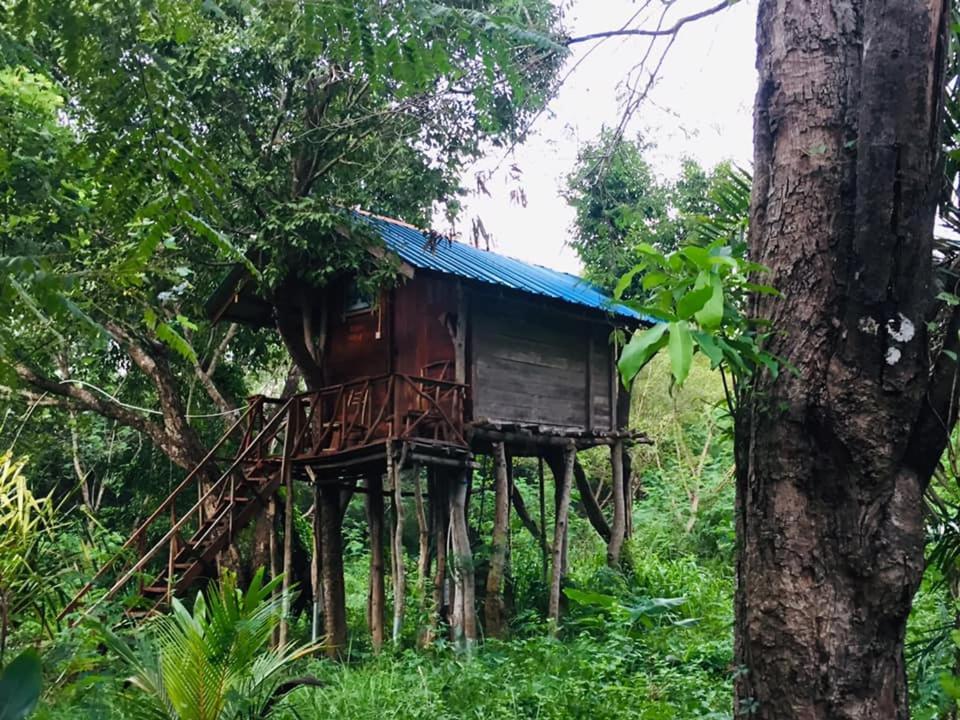 Tree House Hostel シギリヤ エクステリア 写真