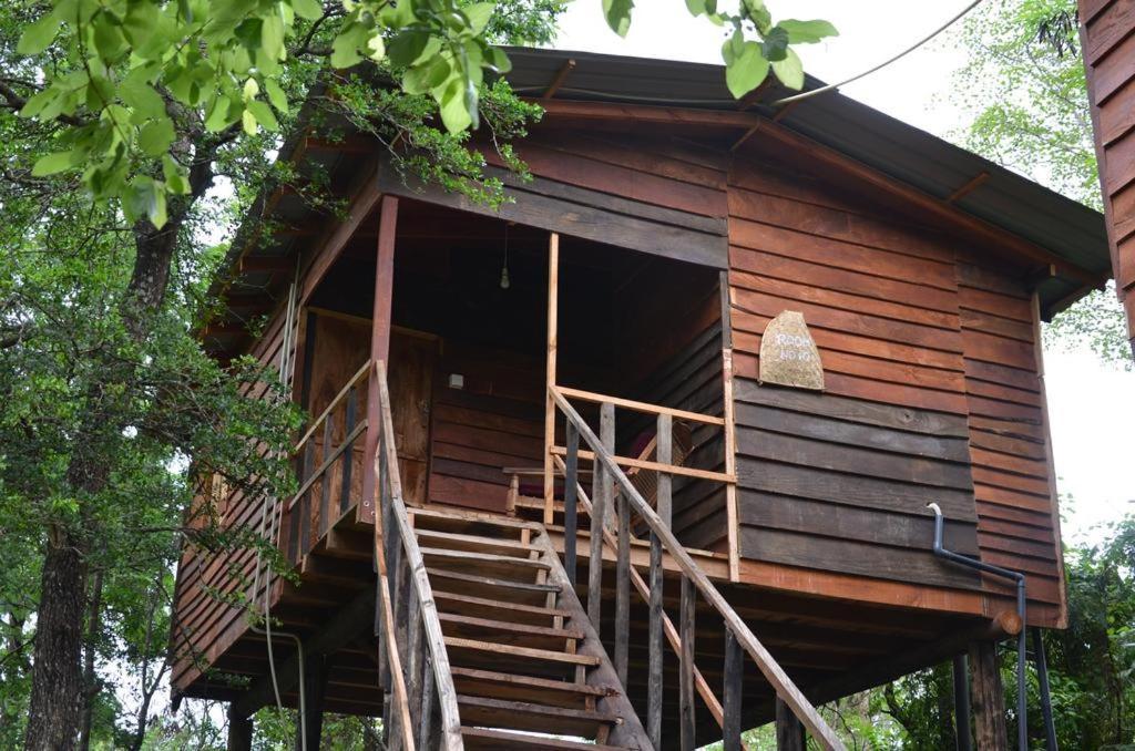 Tree House Hostel シギリヤ エクステリア 写真